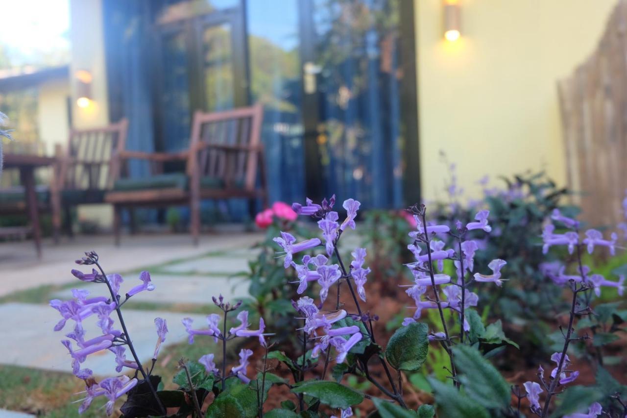 L'Amant Homestay 大叻 外观 照片