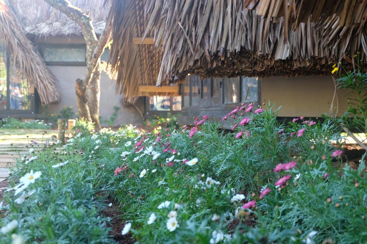 L'Amant Homestay 大叻 外观 照片