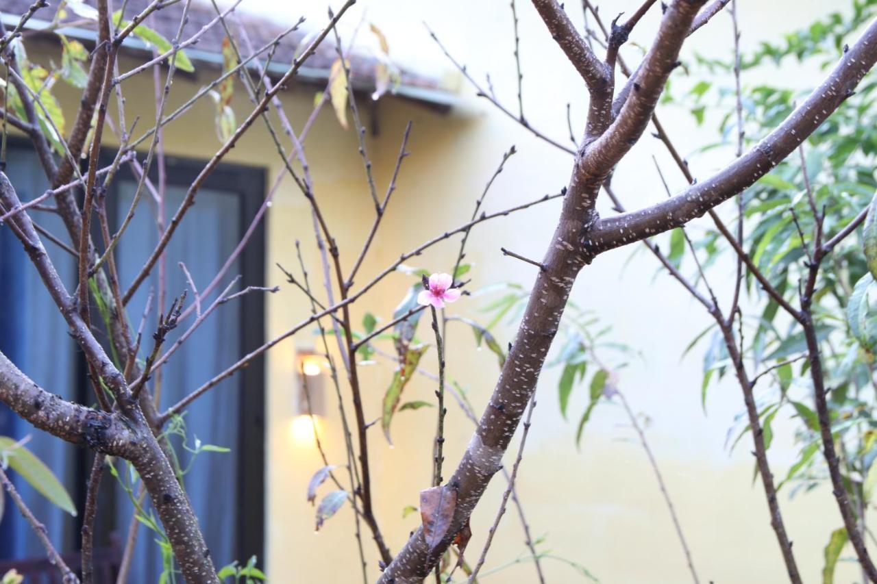 L'Amant Homestay 大叻 外观 照片